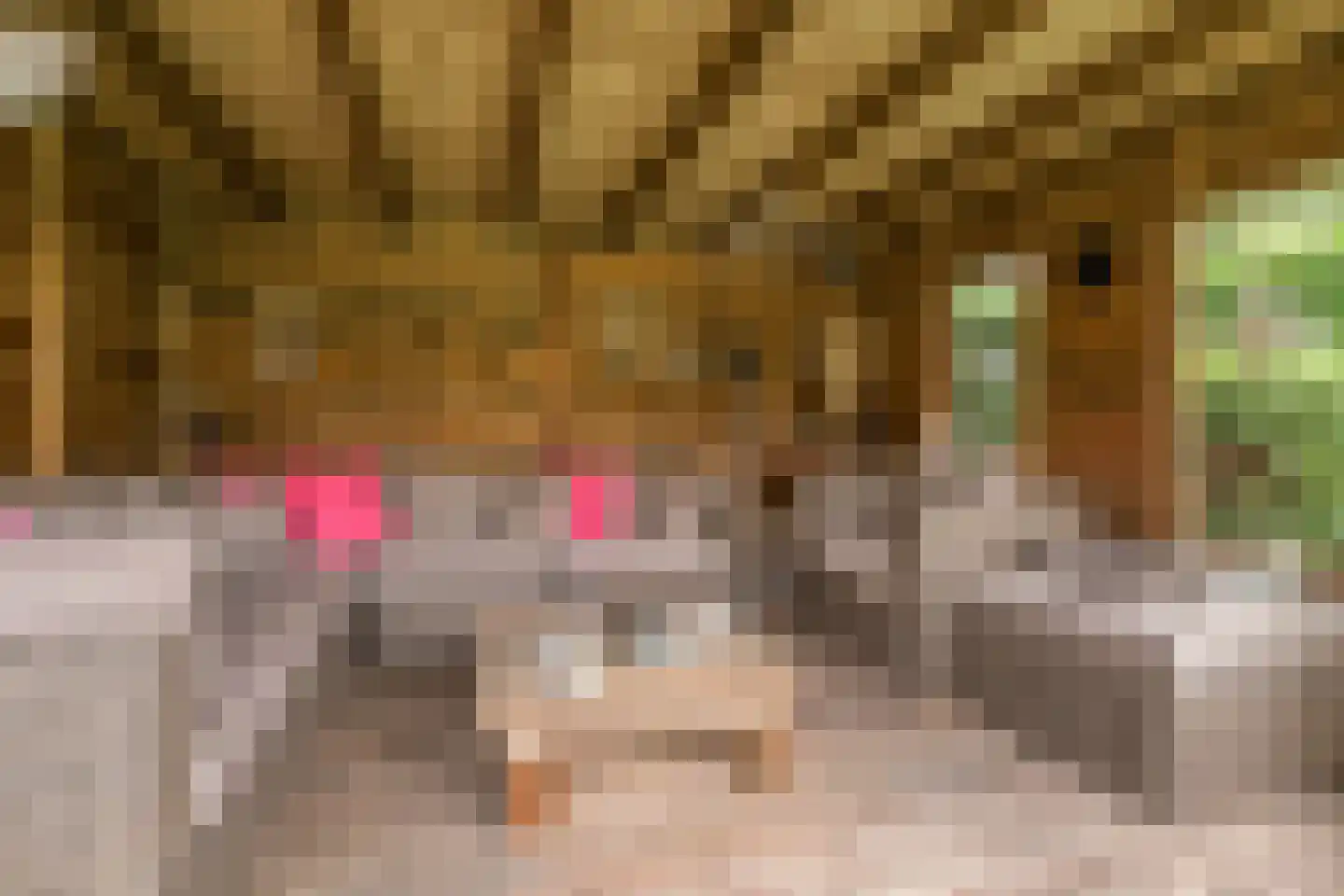 Kerkweg 43 Nootdorp thumbnail 32