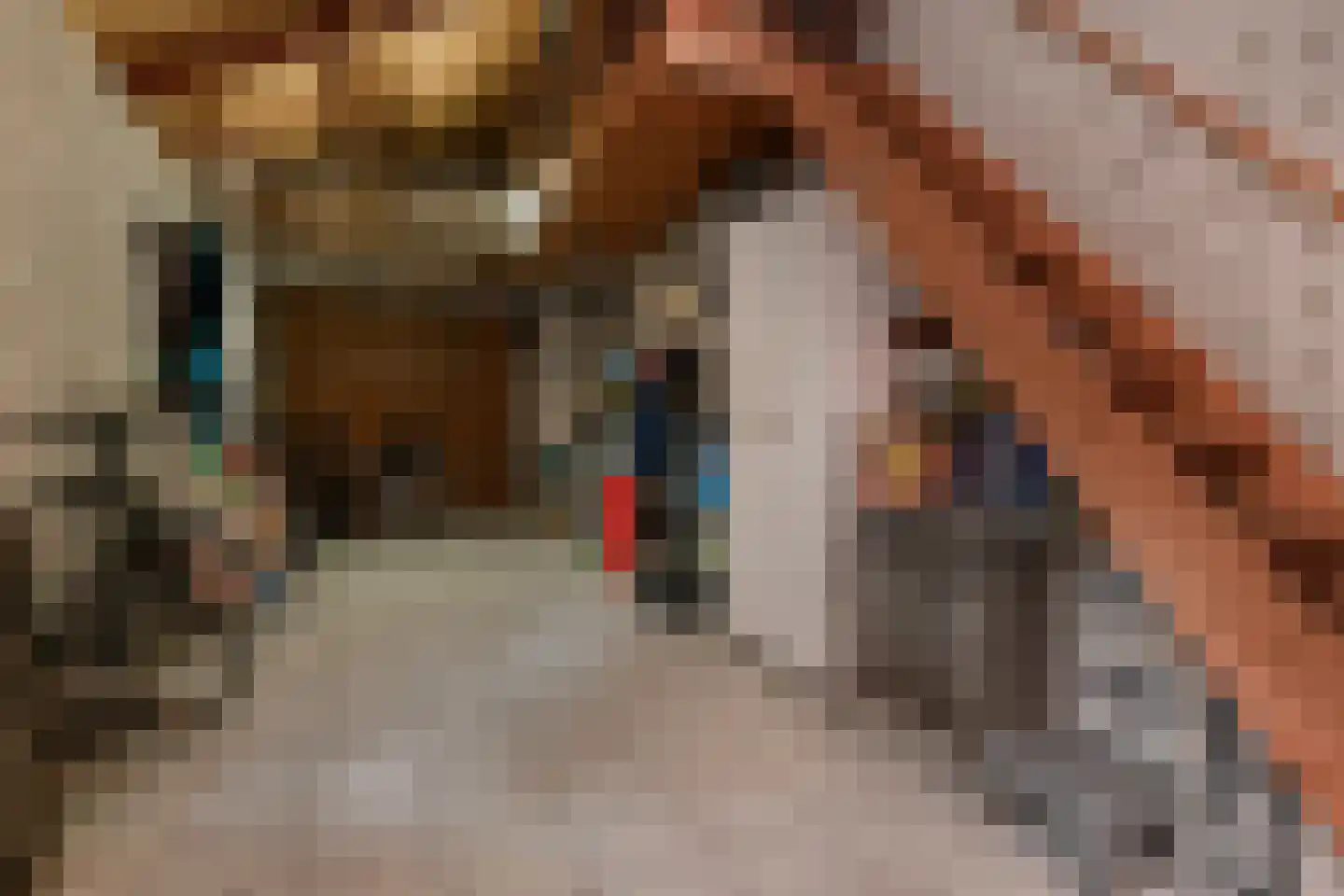 Kerkweg 43 Nootdorp thumbnail 36