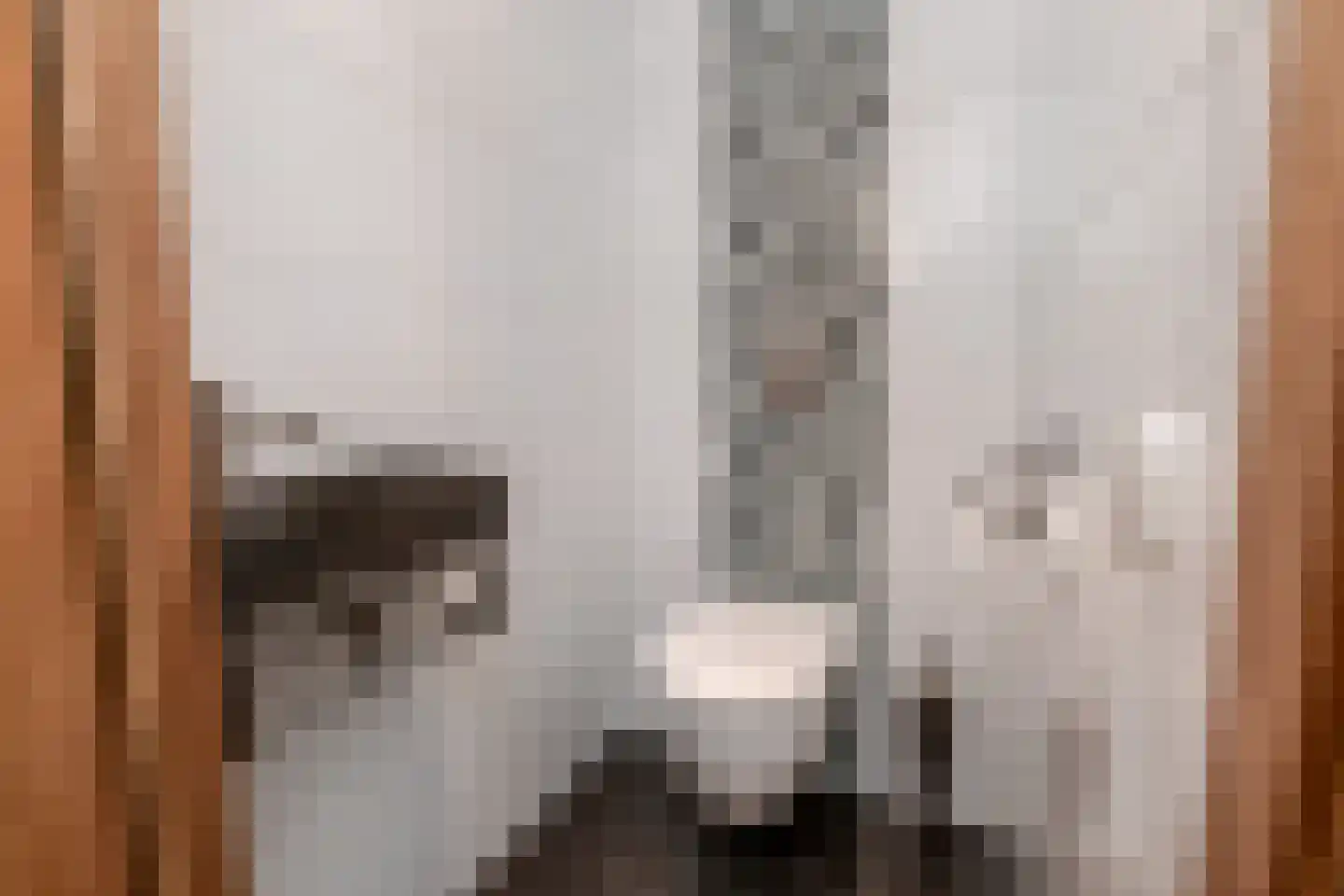 Kerkweg 43 Nootdorp thumbnail 37