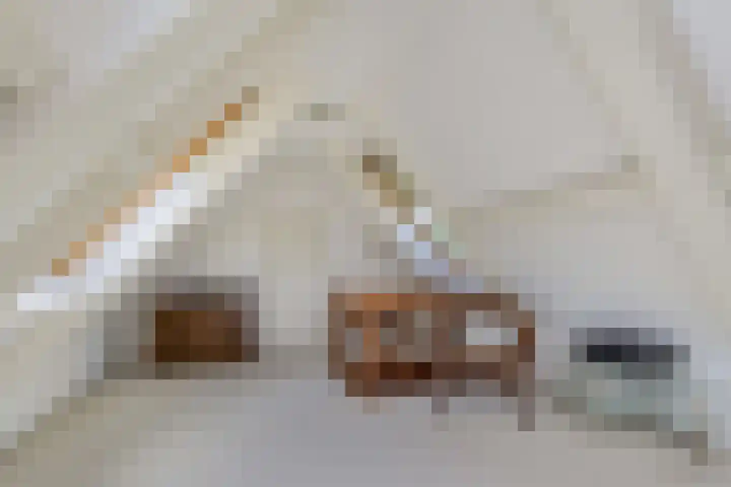 Kerkweg 43 Nootdorp thumbnail 52