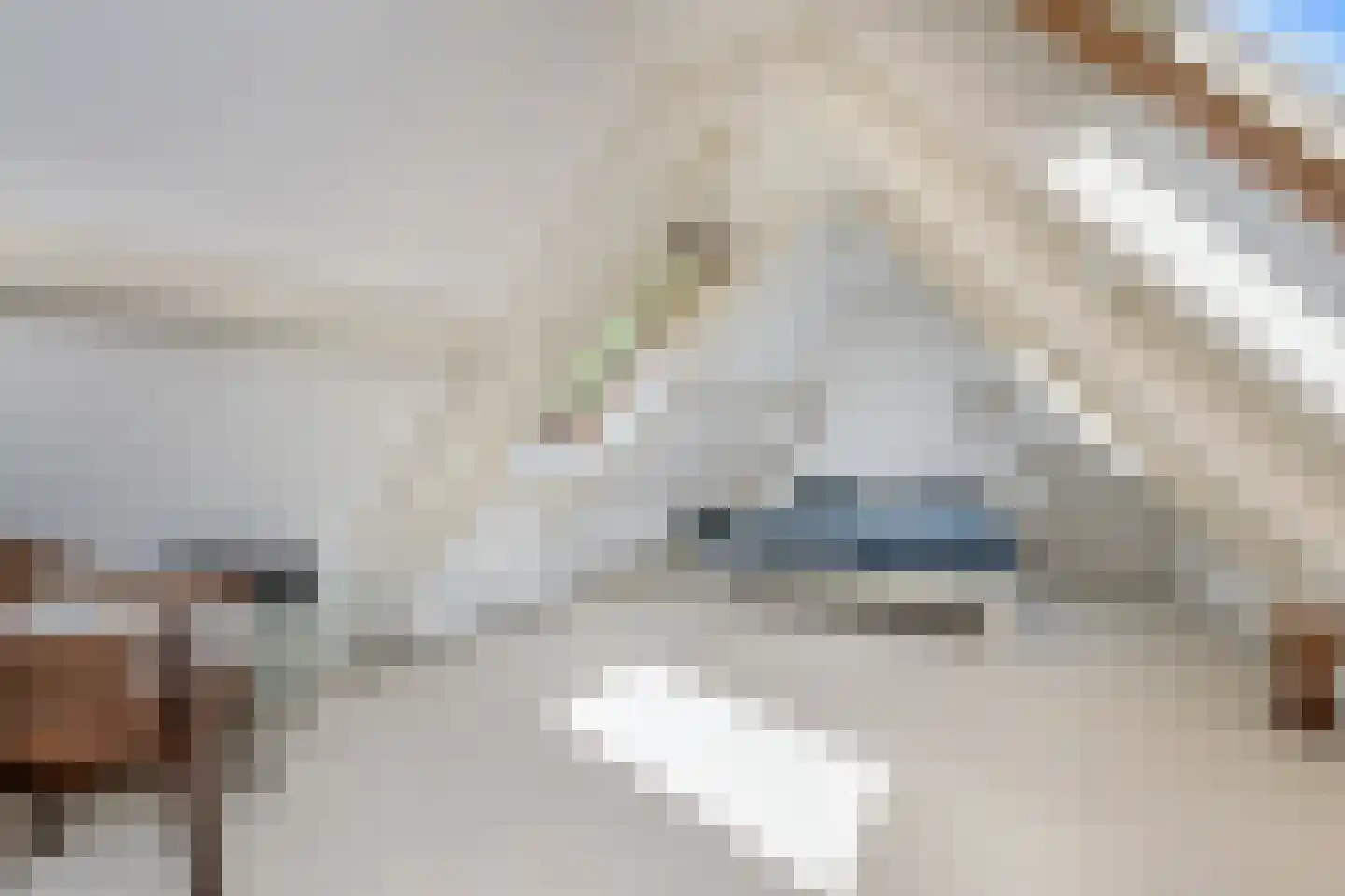 Kerkweg 43 Nootdorp thumbnail 53