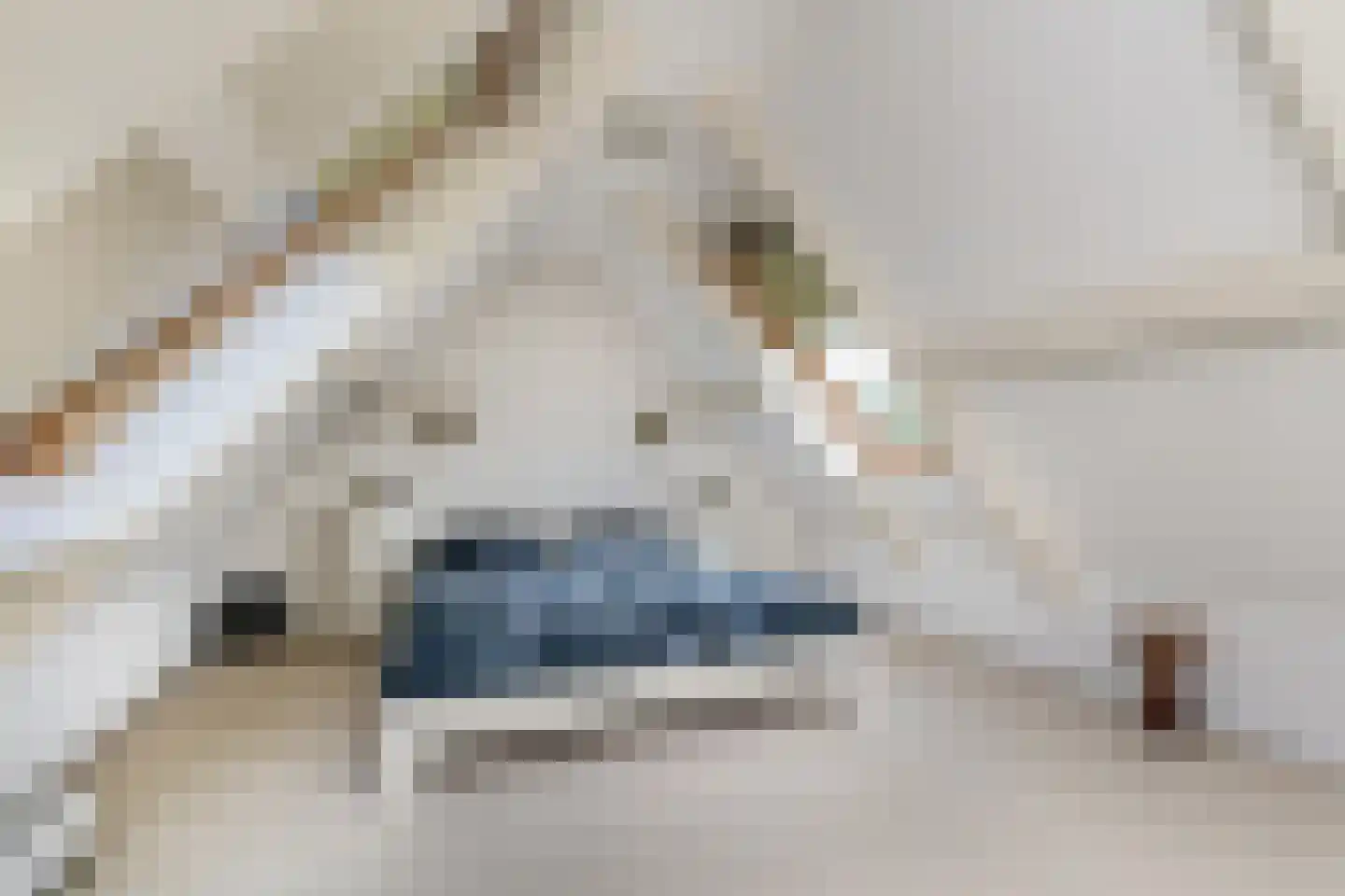 Kerkweg 43 Nootdorp thumbnail 54