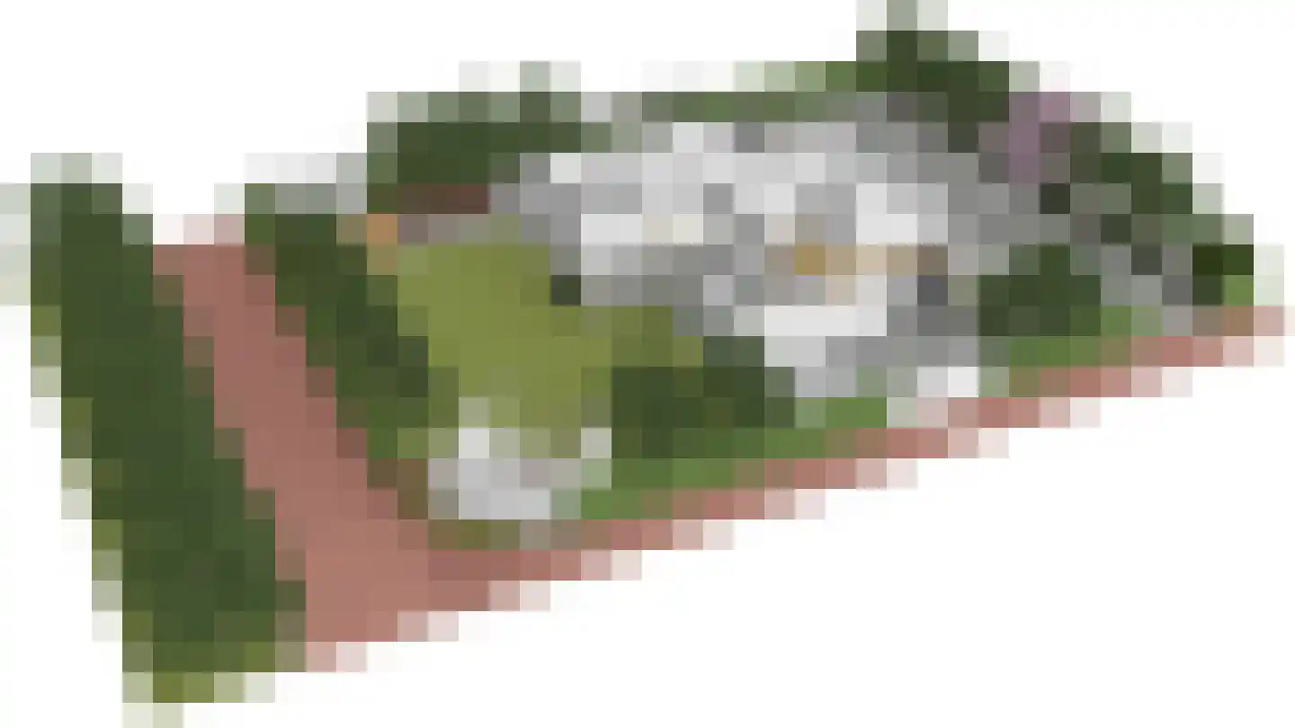Kerkweg 43 Nootdorp thumbnail 68