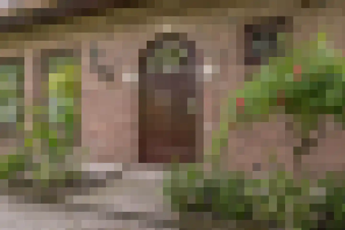 Kerkweg 43 Nootdorp thumbnail 8