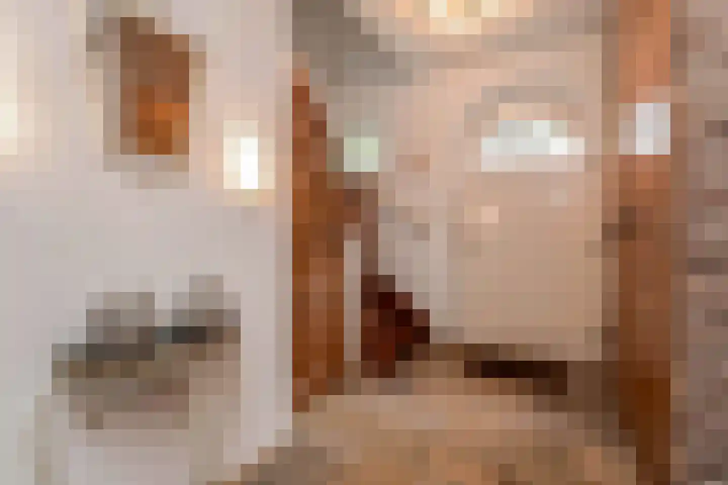Kerkweg 43 Nootdorp thumbnail 9