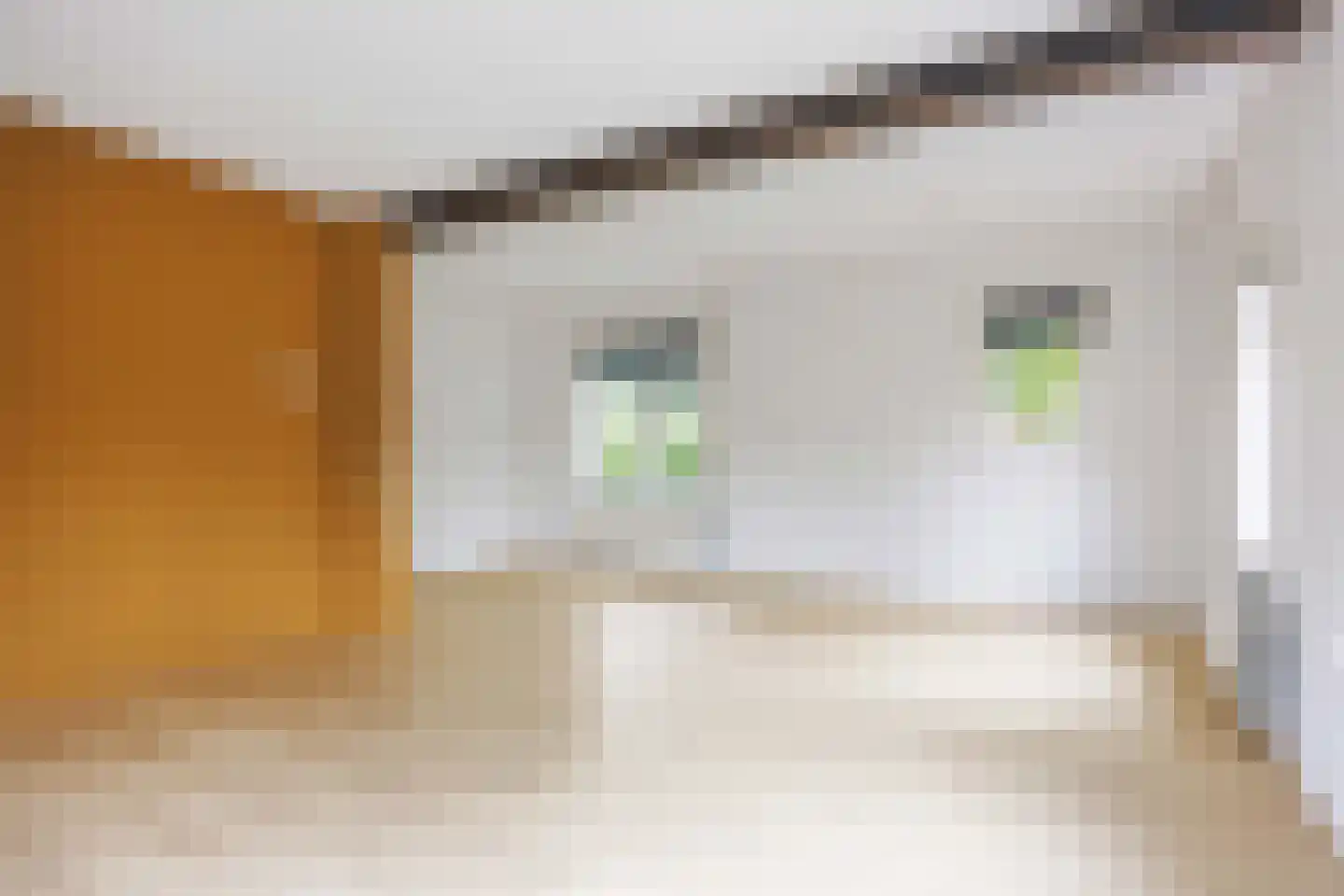 Kerkweg 43 Sebaldeburen thumbnail 8