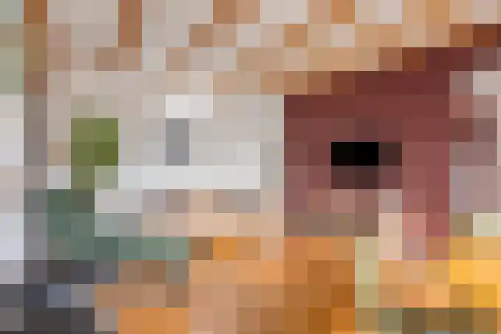 Kerkweg 44 Ouderkerk aan den IJssel thumbnail 15