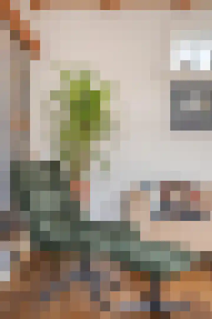 Kerkweg 44 Ouderkerk aan den IJssel thumbnail 17