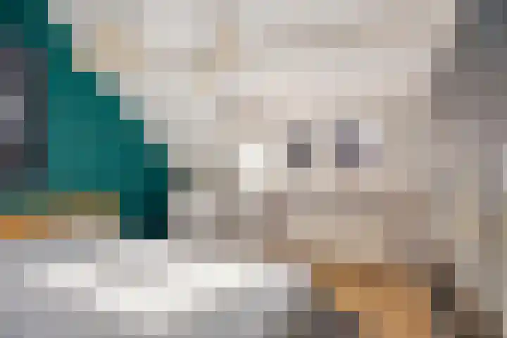 Kerkweg 44 Ouderkerk aan den IJssel thumbnail 19