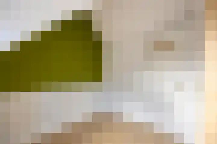 Kerkweg 44 Ouderkerk aan den IJssel thumbnail 25