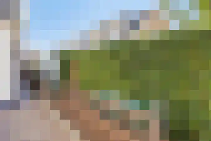 Kerkweg 44 Ouderkerk aan den IJssel thumbnail 28