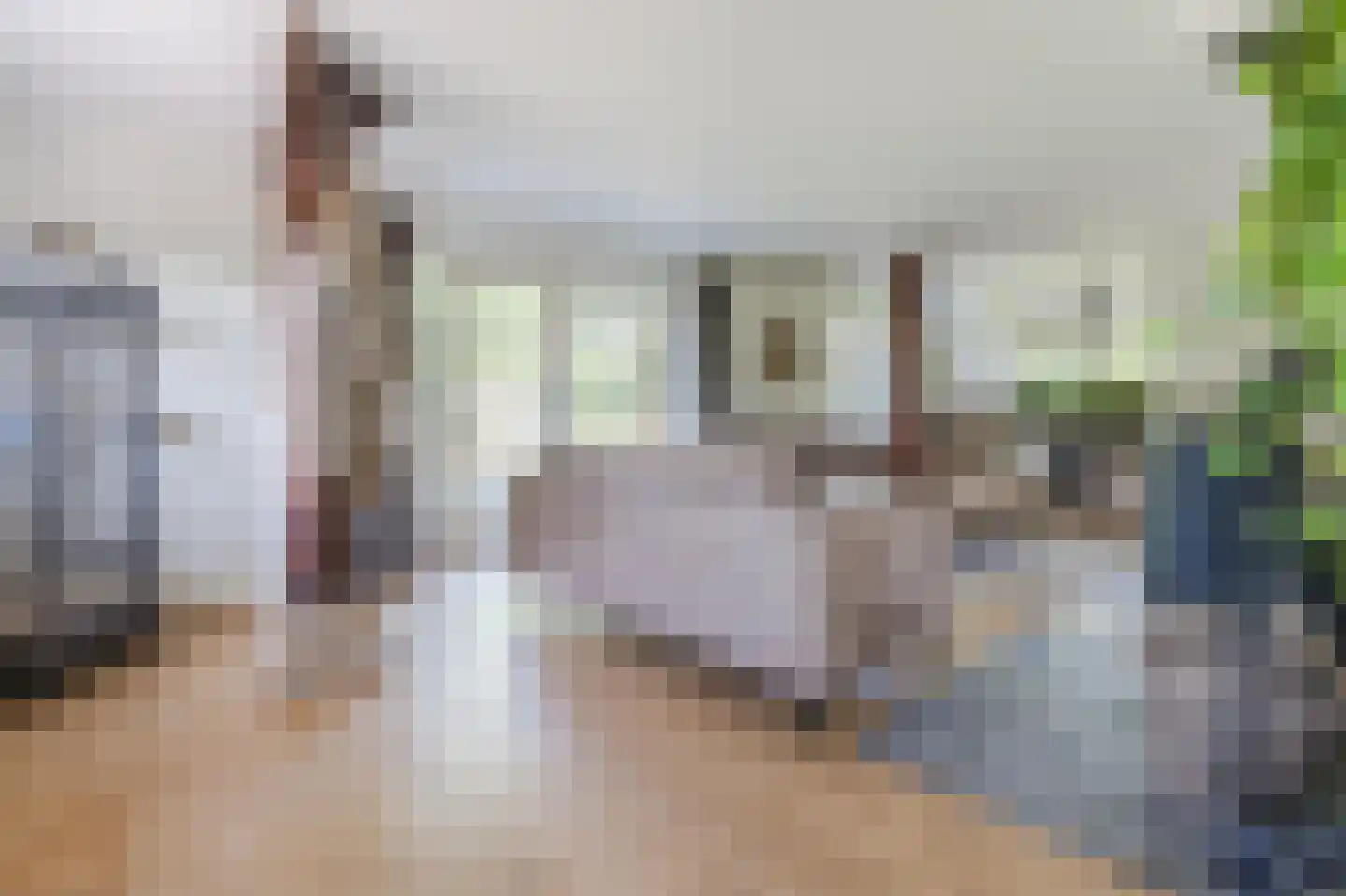 Kerkweg 46 Giethoorn thumbnail 12