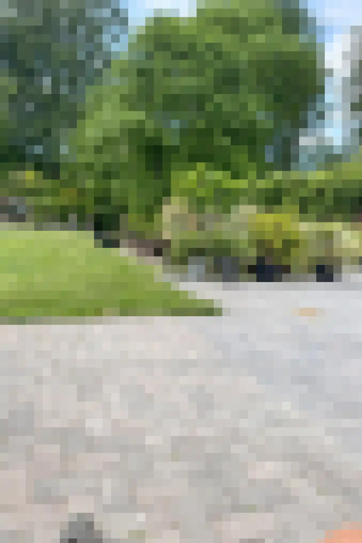 Kerkweg 46 Giethoorn thumbnail 41