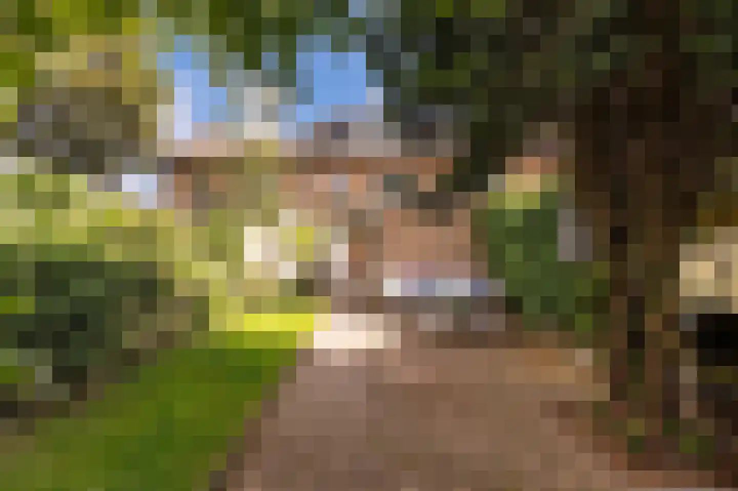 Kerkweg 47 Malden thumbnail 23