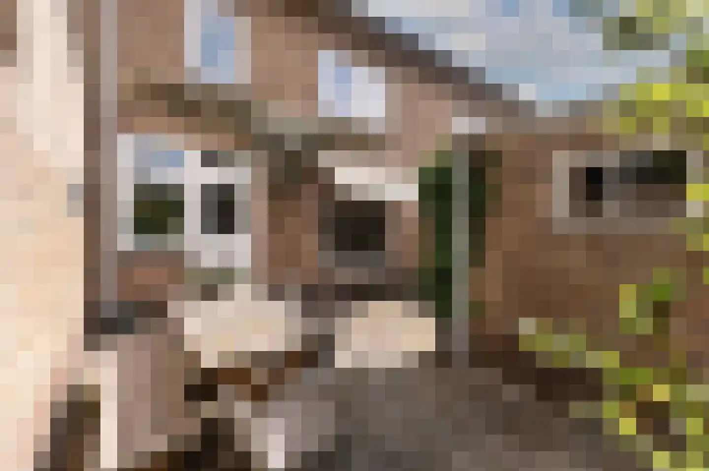 Kerkweg 47 Malden thumbnail 27