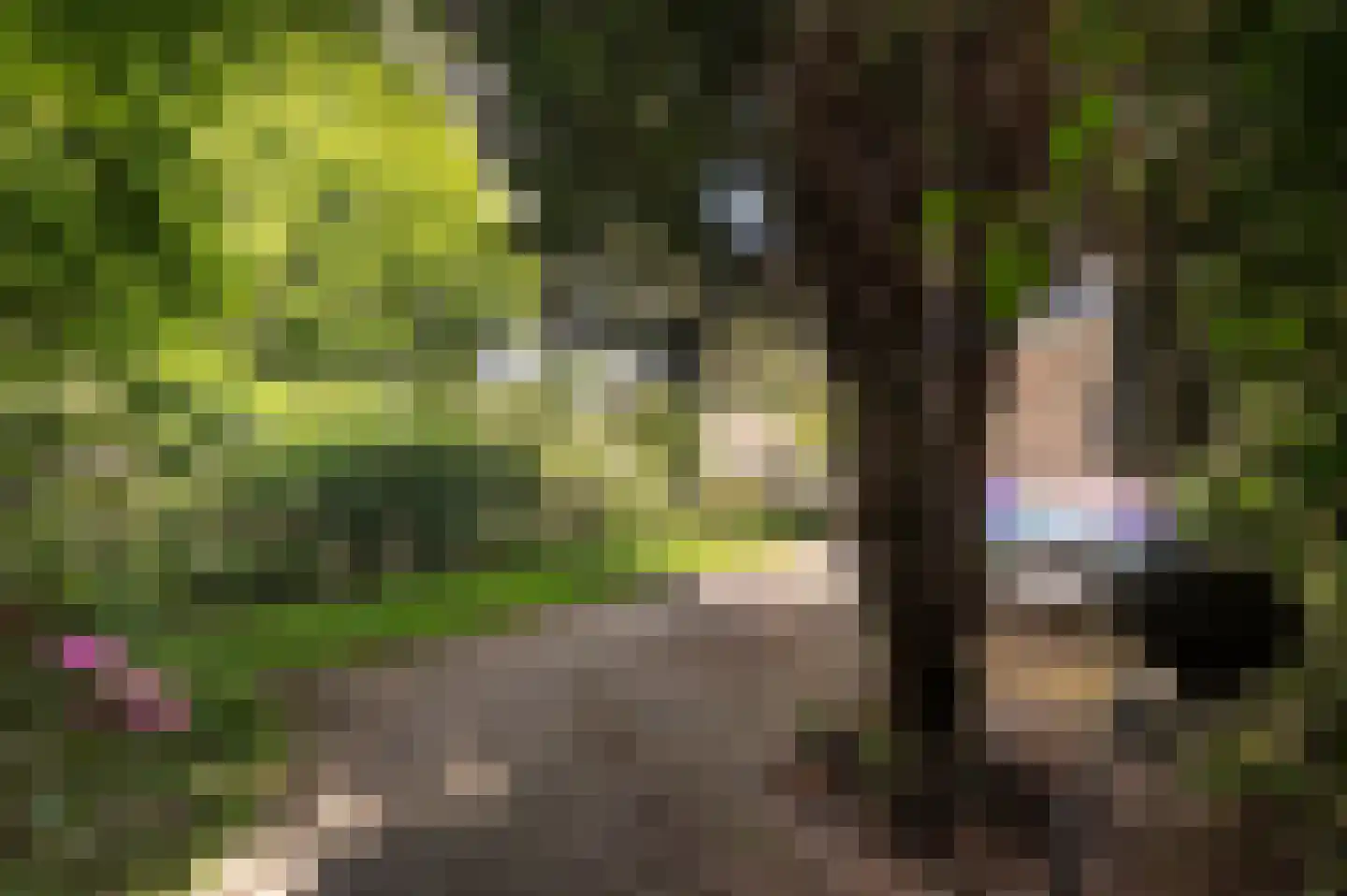 Kerkweg 47 Malden thumbnail 30