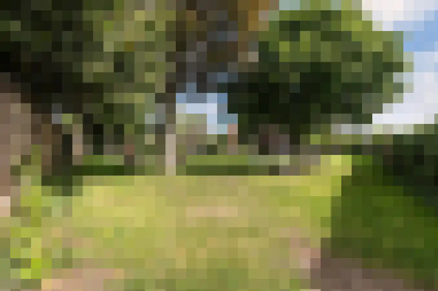 Kerkweg 47 Malden thumbnail 35