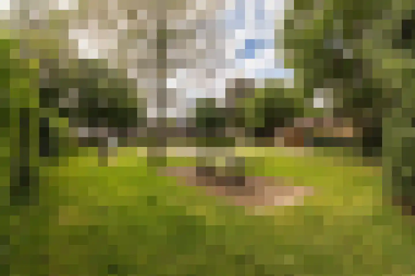 Kerkweg 47 Malden thumbnail 37