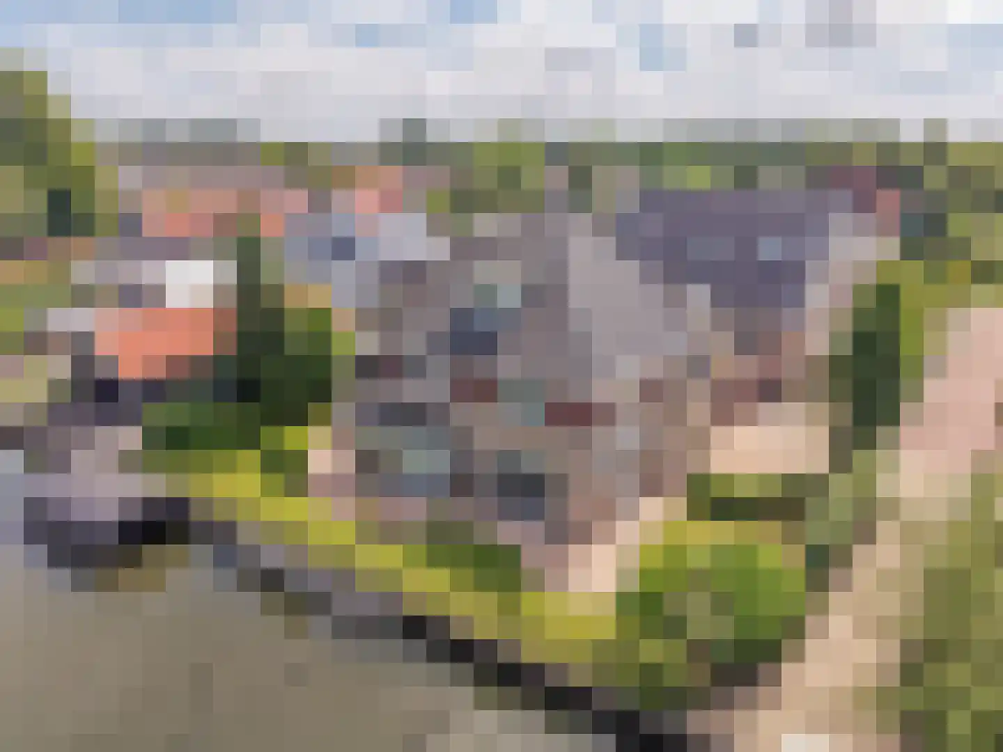 Kerkweg 48 Hardinxveld-Giessendam thumbnail 44