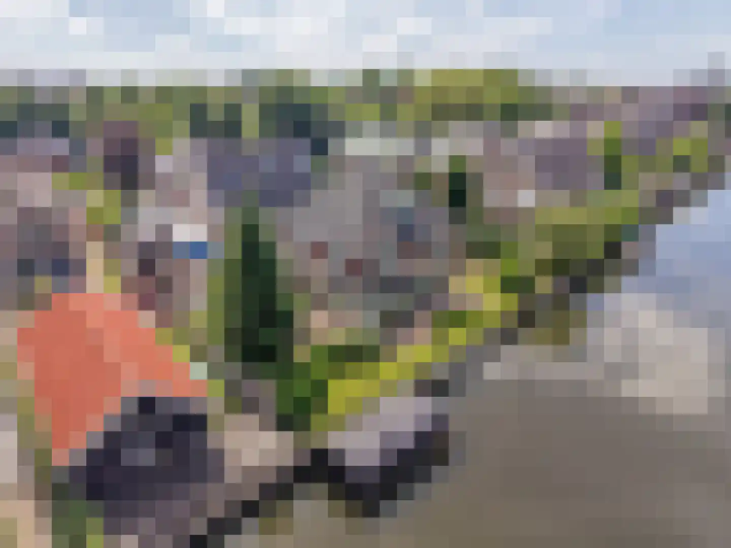 Kerkweg 48 Hardinxveld-Giessendam thumbnail 45