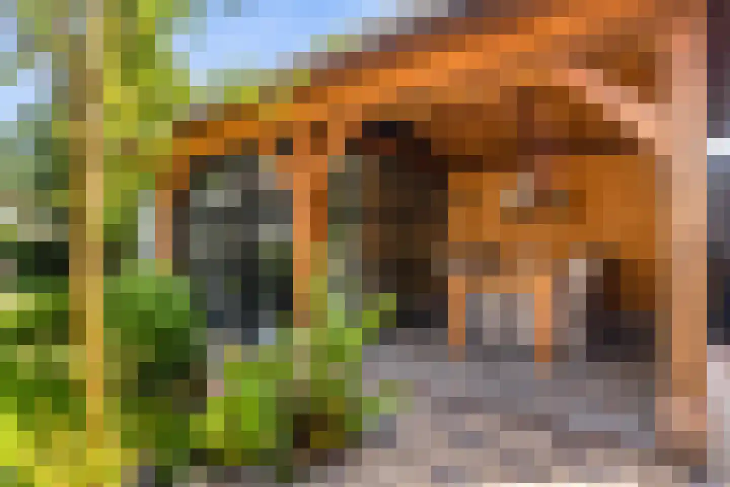 Kerkweg 48 Hardinxveld-Giessendam thumbnail 50