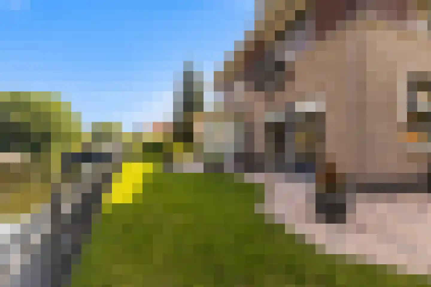 Kerkweg 48 Hardinxveld-Giessendam thumbnail 52