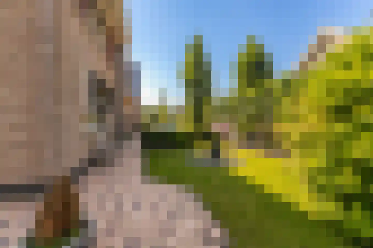 Kerkweg 48 Hardinxveld-Giessendam thumbnail 54