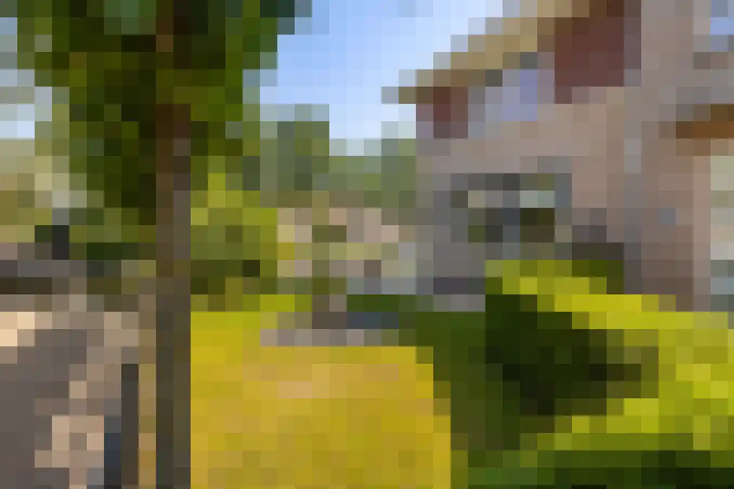 Kerkweg 48 Hardinxveld-Giessendam thumbnail 55