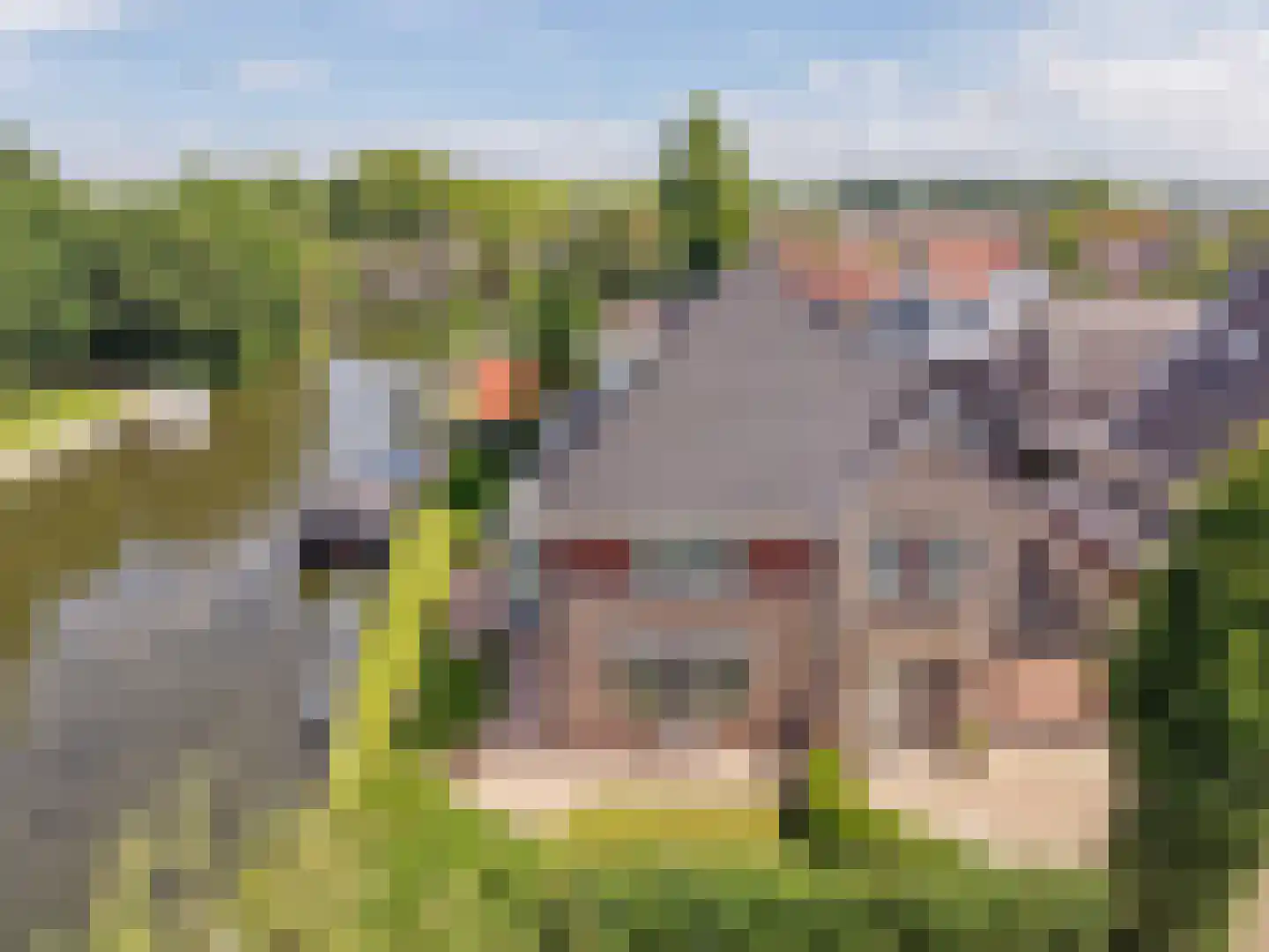Kerkweg 48 Hardinxveld-Giessendam thumbnail 57