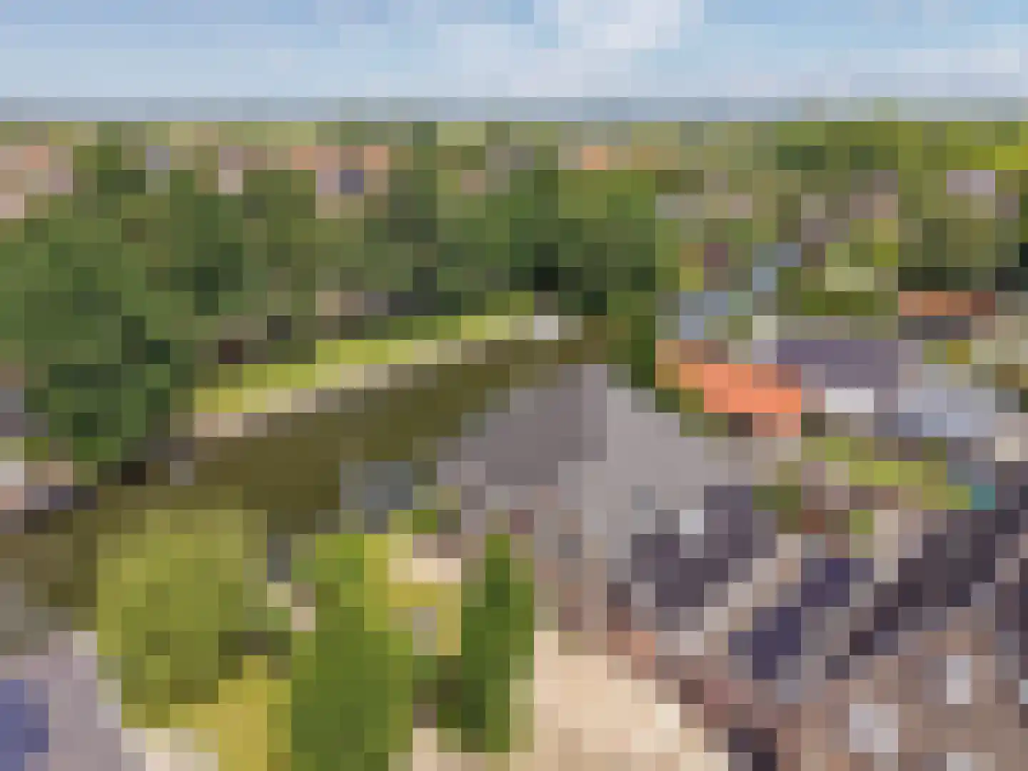 Kerkweg 48 Hardinxveld-Giessendam thumbnail 60