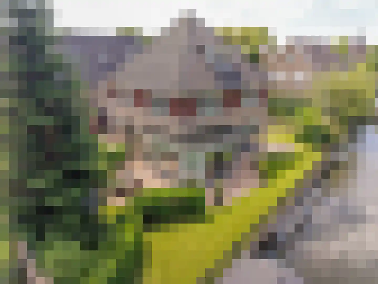 Kerkweg 48 Hardinxveld-Giessendam thumbnail 64