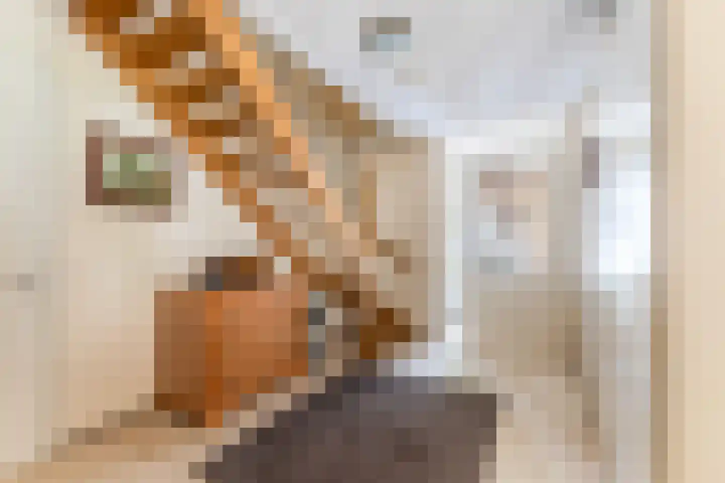 Kerkweg 48 Hardinxveld-Giessendam thumbnail 8