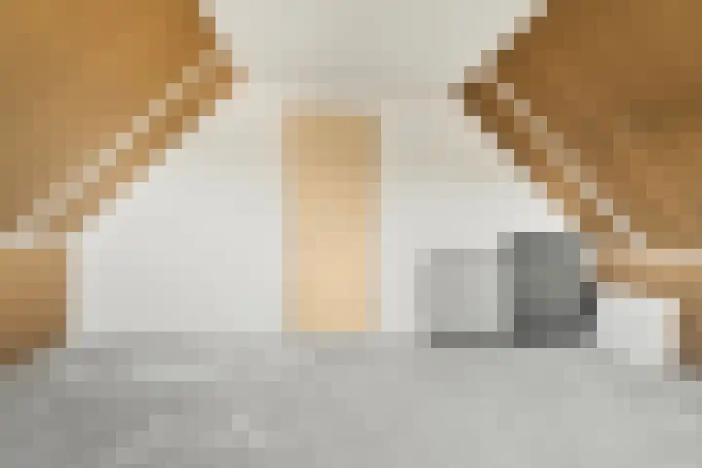 Kerkweg 49 Aerdt thumbnail 33