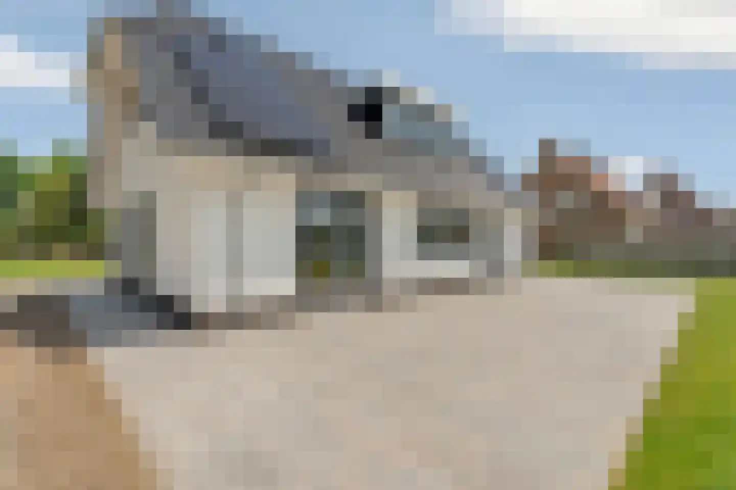 Kerkweg 49 Aerdt thumbnail 34