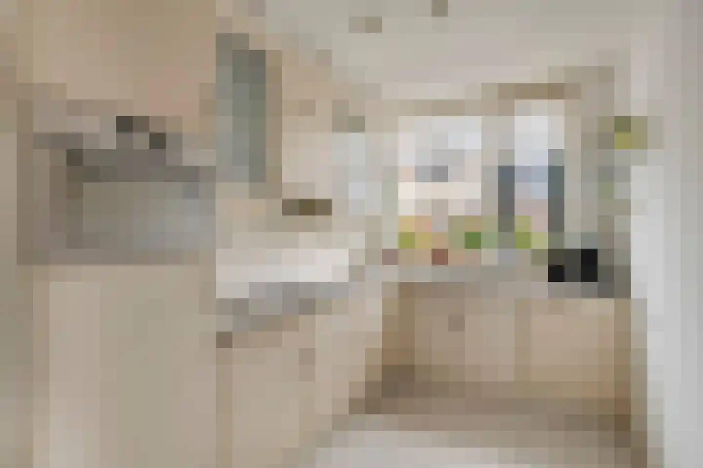 Kerkweg 49 Driebruggen thumbnail 12