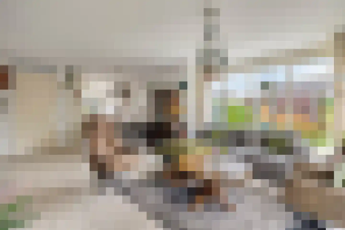 Kerkweg 49 Driebruggen thumbnail 9