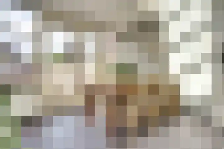 Kerkweg 5 a Hulsel thumbnail 14