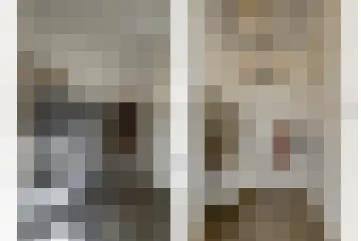 Kerkweg 5 a Hulsel thumbnail 19