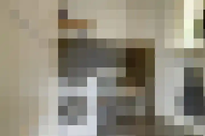 Kerkweg 5 a Hulsel thumbnail 20