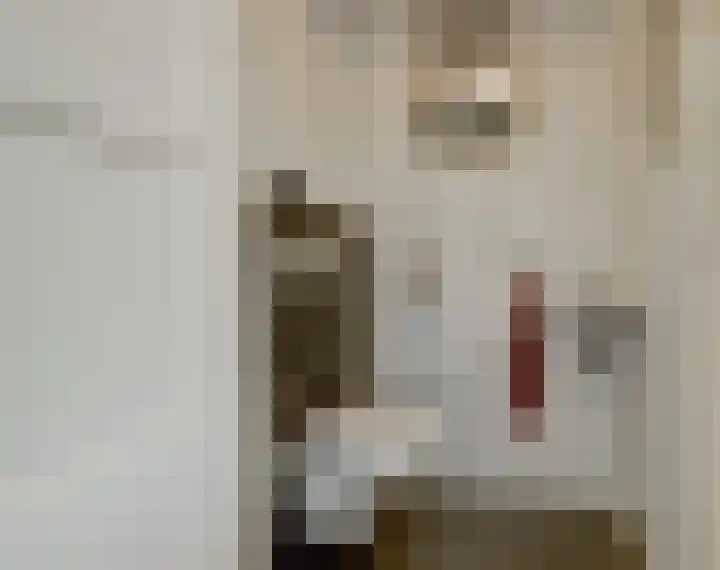 Kerkweg 5 a Hulsel thumbnail 21