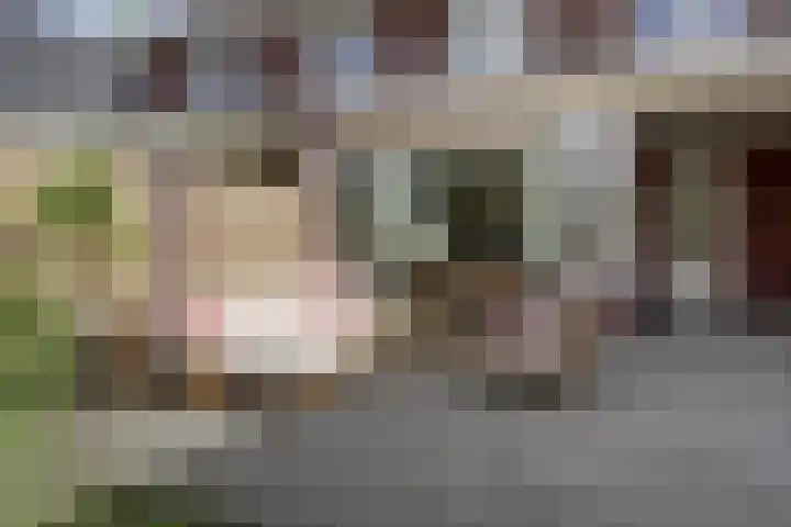 Kerkweg 5 a Hulsel thumbnail 41