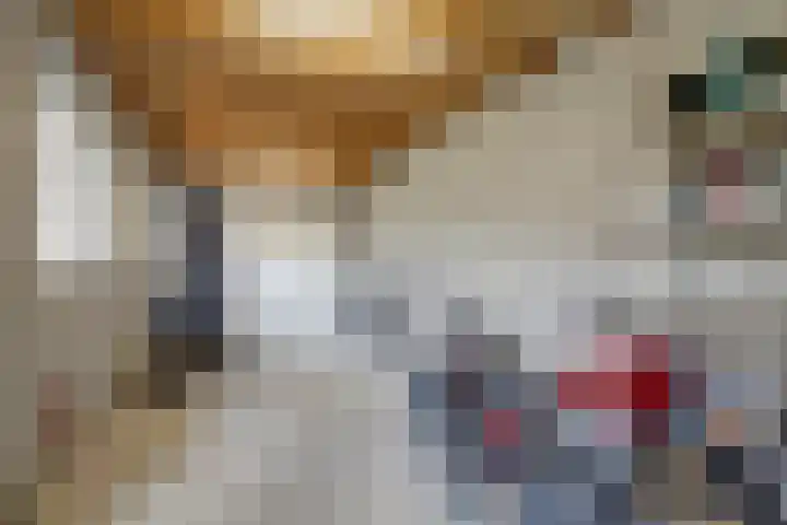 Kerkweg 5 a Hulsel thumbnail 46