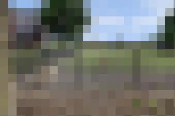 Kerkweg 5 a Hulsel thumbnail 50