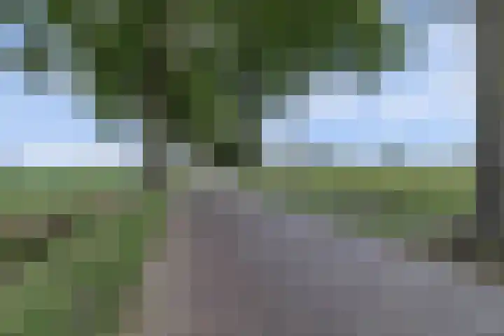 Kerkweg 5 a Hulsel thumbnail 51