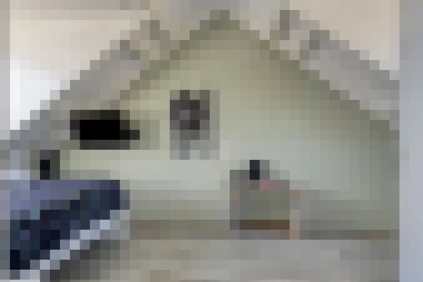 Kerkweg 5 Aerdt thumbnail 27