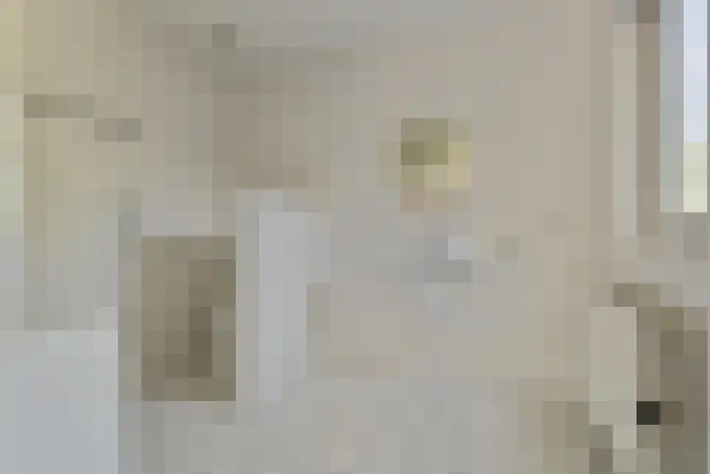Kerkweg 5 Cromvoirt thumbnail 13