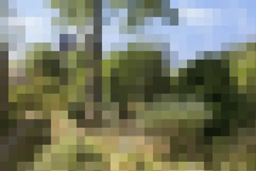 Kerkweg 5 Cromvoirt thumbnail 22