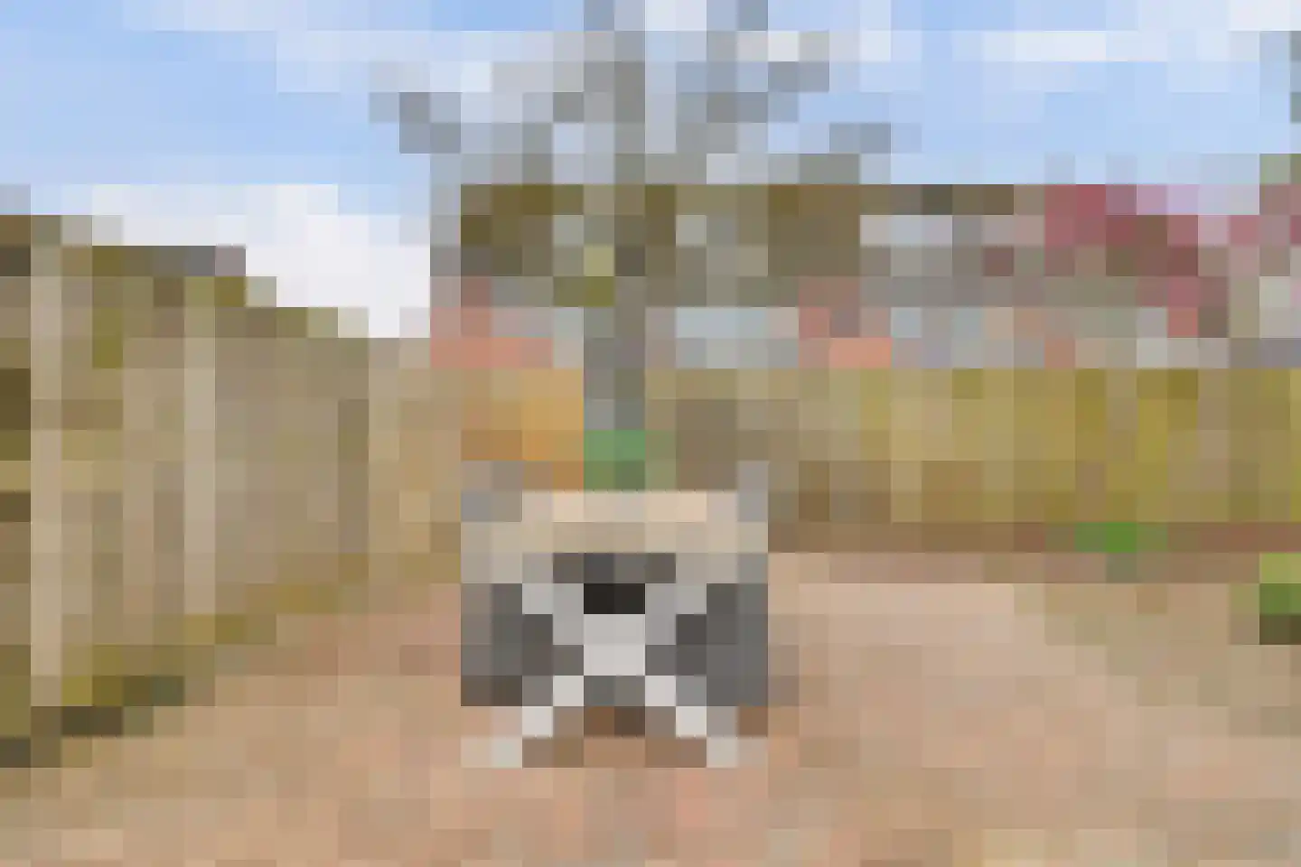 Kerkweg 5 Driebruggen thumbnail 31