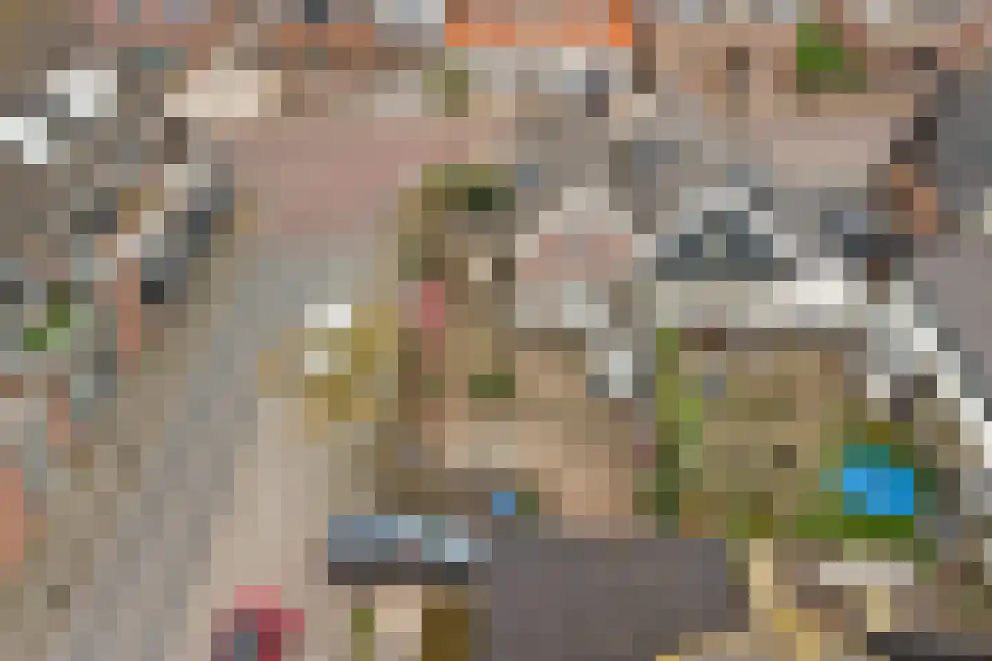 Kerkweg 5 Driebruggen thumbnail 42