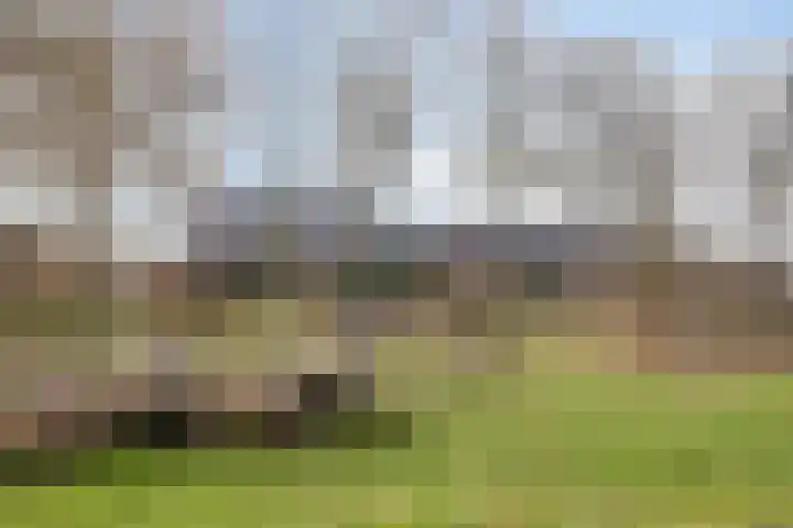 Kerkweg 5 e Hulsel thumbnail 45